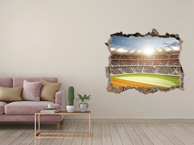 Hole in the wall sticker The stadium in action