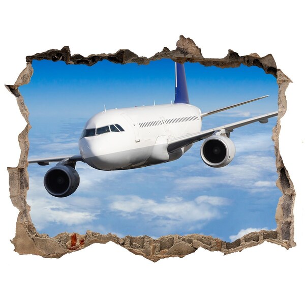 3D wall hole wallpaper A plane in the sky