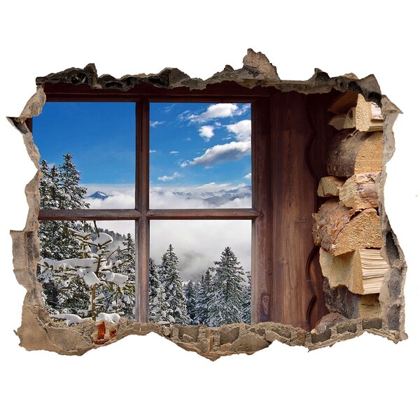 Hole in the wall decal Winter outside the window