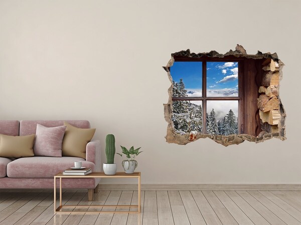 Hole in the wall decal Winter outside the window