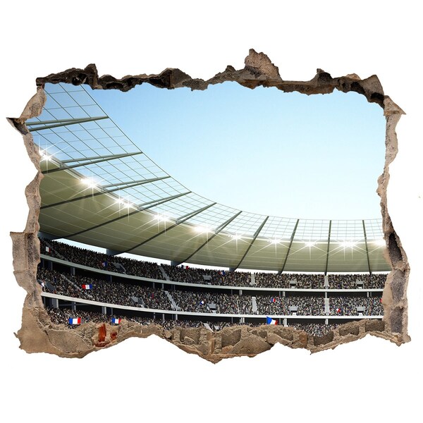 Hole in the wall decal France stadium