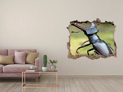 Hole in the wall decal Beetle