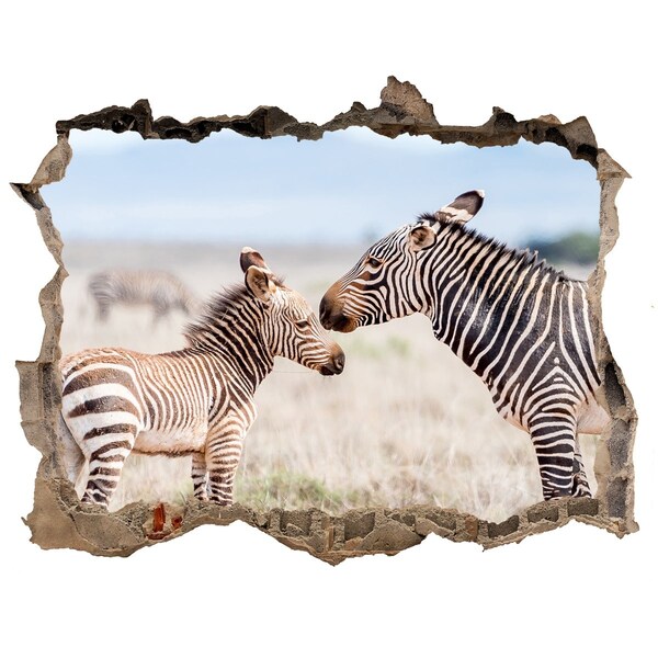 Hole wall sticker Zebras in the wild