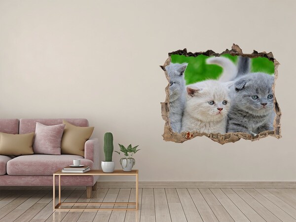 Hole wall sticker Kittens in a hole in the wall