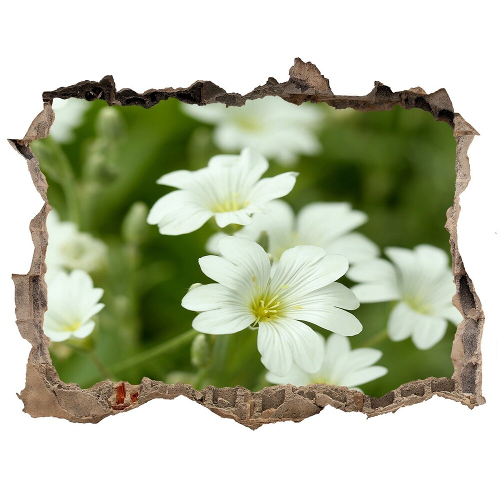 Hole wall sticker Spring flowers