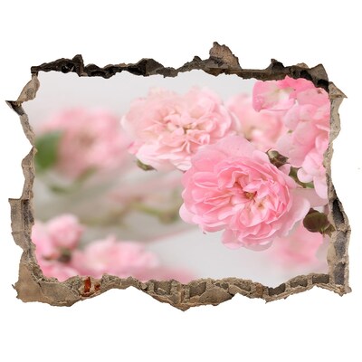 3D wall hole wallpaper A flower paradise behind the wall