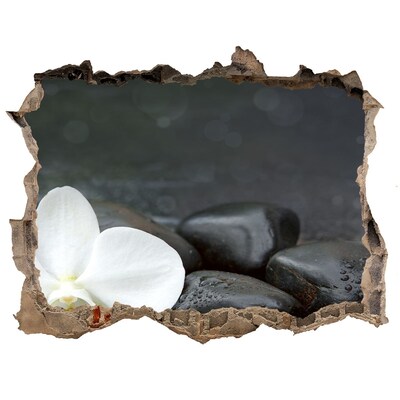 Hole wall sticker Orchid