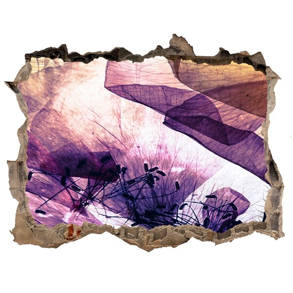 Hole in the wall sticker The floral world behind the walls