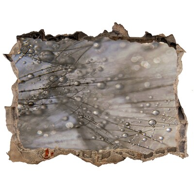 Hole in the wall sticker Water drops on glass