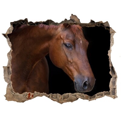 Hole in the wall decal Brown horse