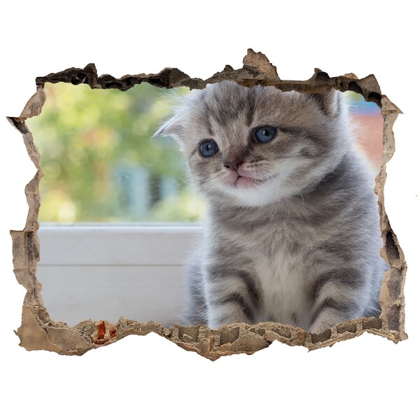 3D wall hole wallpaper Little Cat by the window