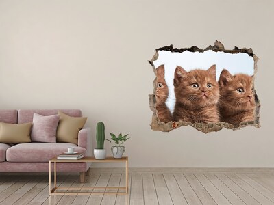 Hole wall sticker Chatter cats