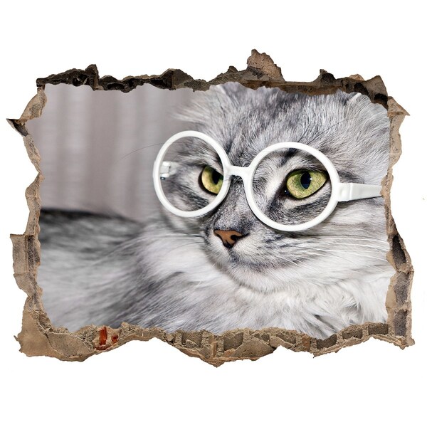 Hole in the wall sticker Cat with glasses through a hole in the wall