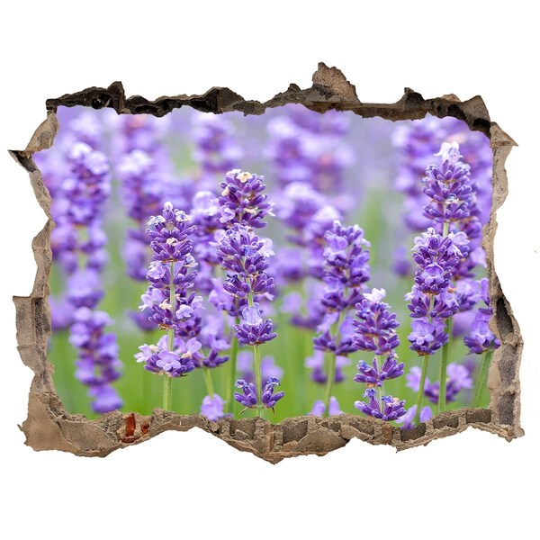 3D wall hole wallpaper Lavender field in the sunshine