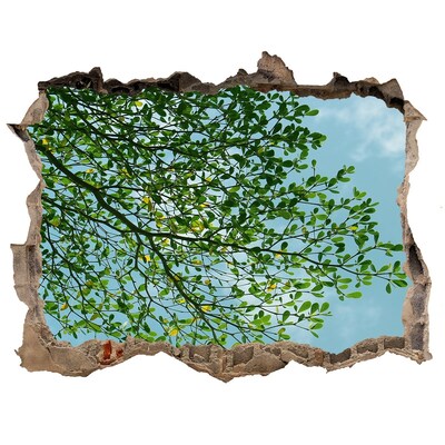 Hole wall sticker Green leaves under a blue sky