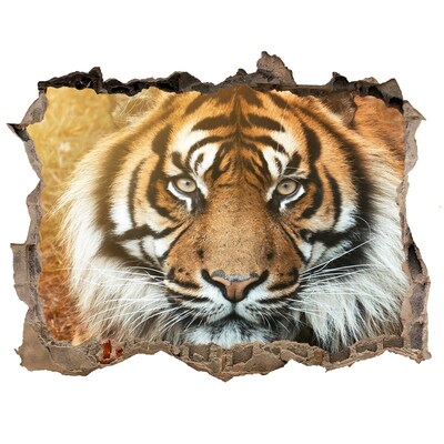 Hole in the wall sticker Bengal tiger