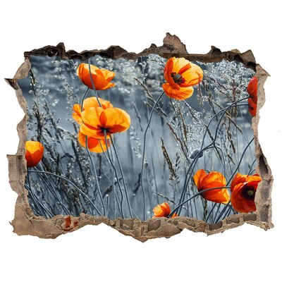 Hole in the wall sticker Field poppy seed