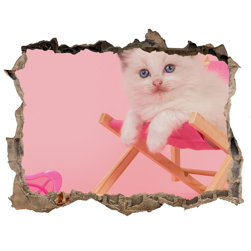 3D wall hole wallpaper Cat on a sun lounger