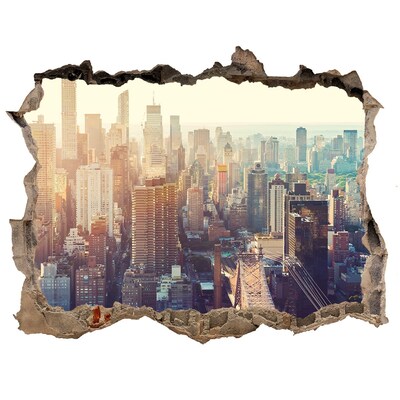 Hole in the wall sticker View from the hole in the wall