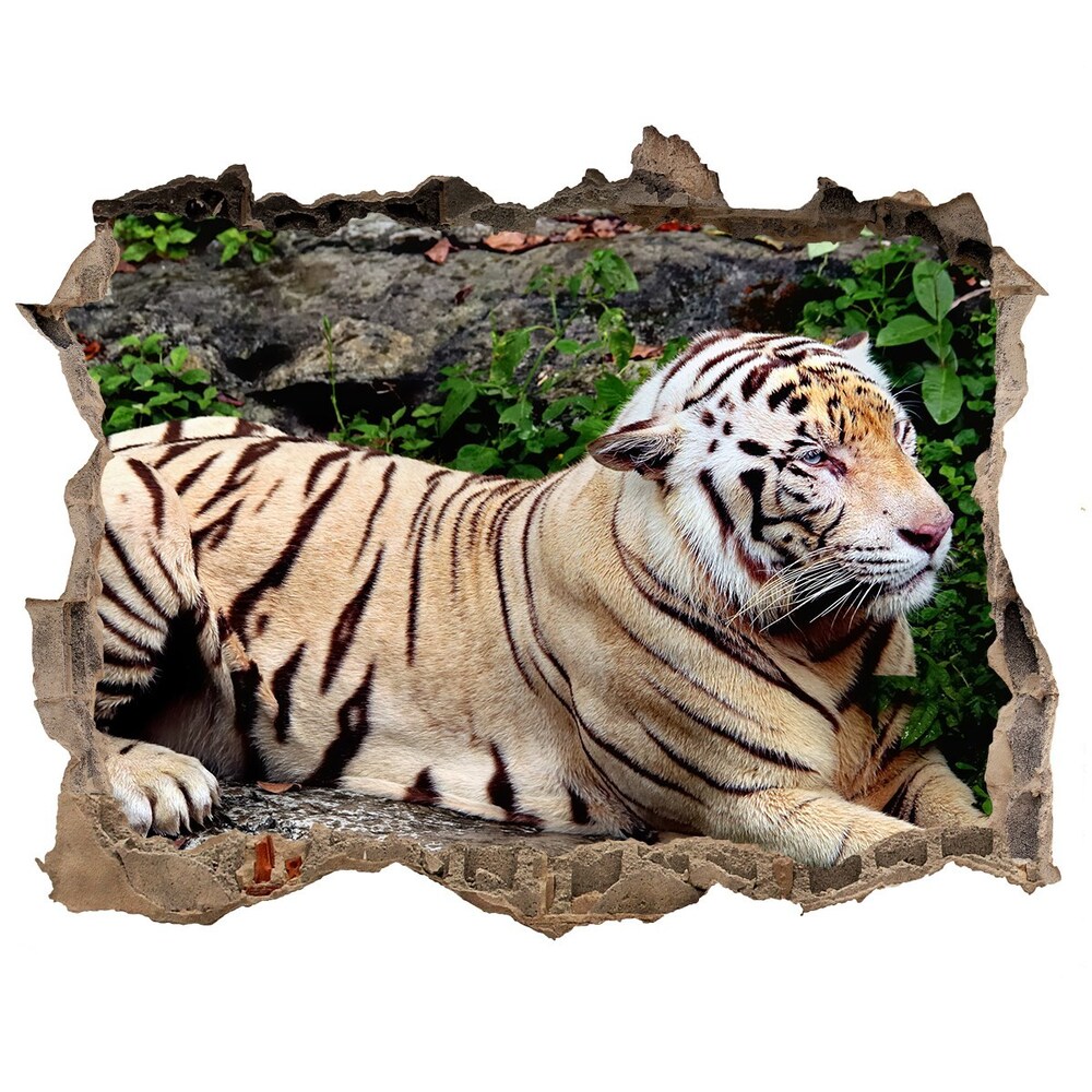 Hole wall sticker Tiger on the rock