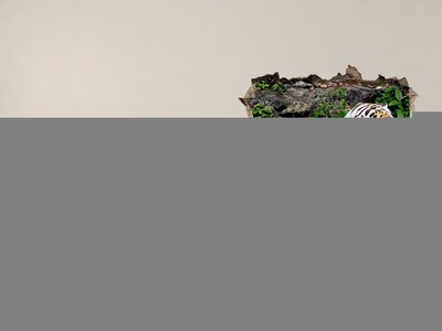 Hole wall sticker Tiger in its natural habitat