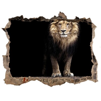 Hole wall sticker Portrait of a lion