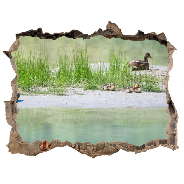 Hole wall sticker Pond with ducks