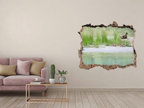Hole wall sticker Pond with ducks