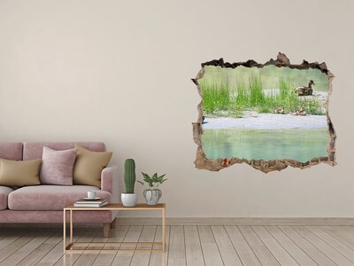 Hole wall sticker Pond with ducks