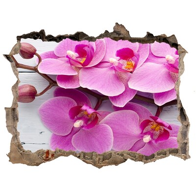 Hole wall sticker Orchid flowers through a hole in the wall