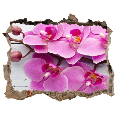 Hole wall sticker Orchid on wood