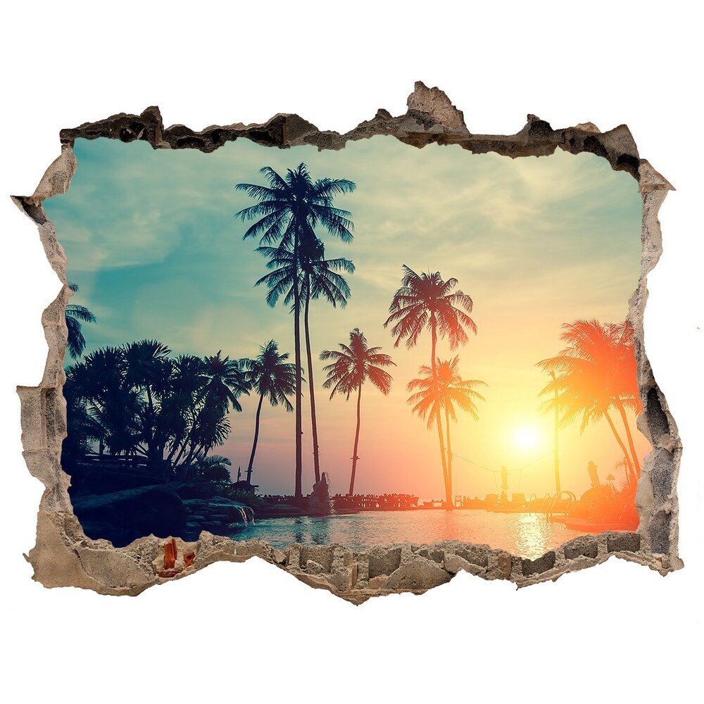 Hole in the wall sticker Sunset palm trees