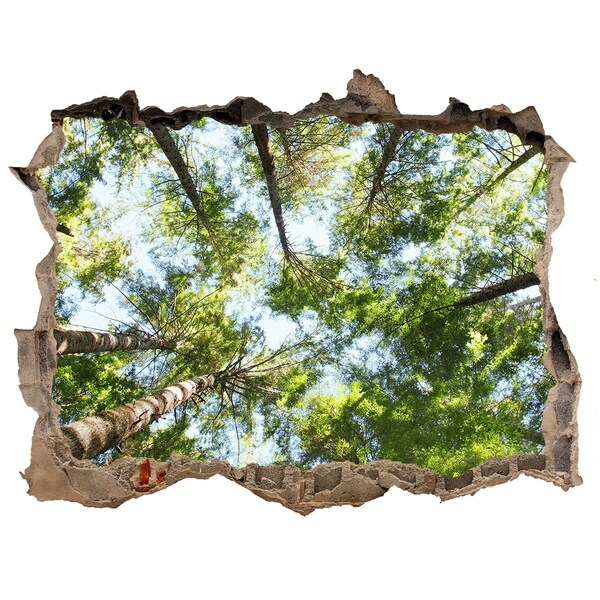 Hole wall sticker View of the forest with blue sky