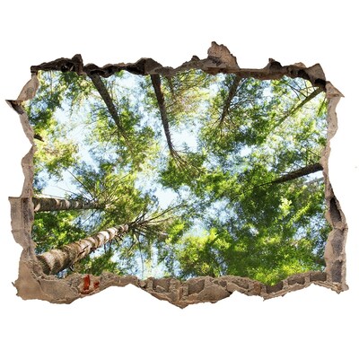 Hole wall sticker View of the forest with blue sky