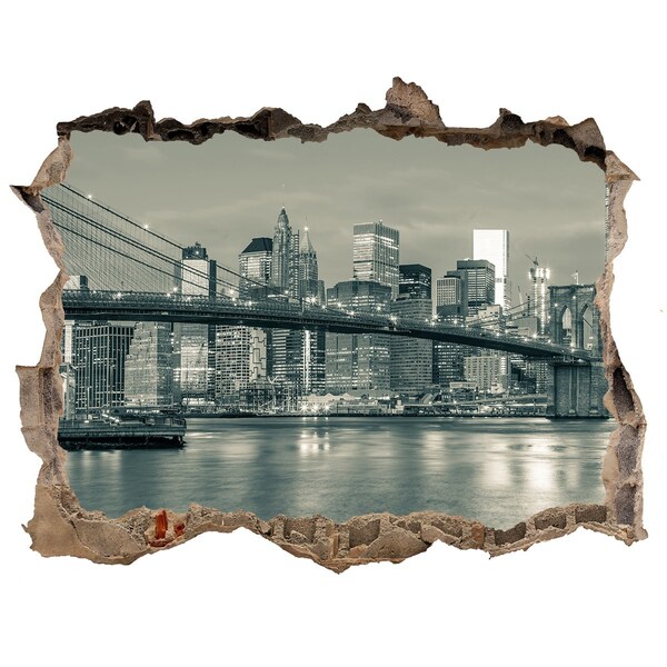 Hole wall sticker View of New York
