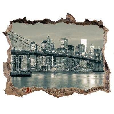 Hole wall sticker View of New York
