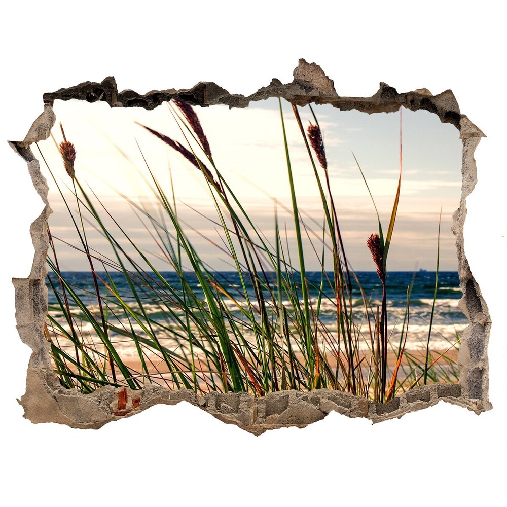 Hole in the wall decal Coastal dunes