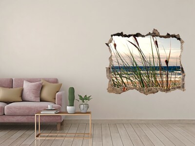 Hole in the wall decal Coastal dunes