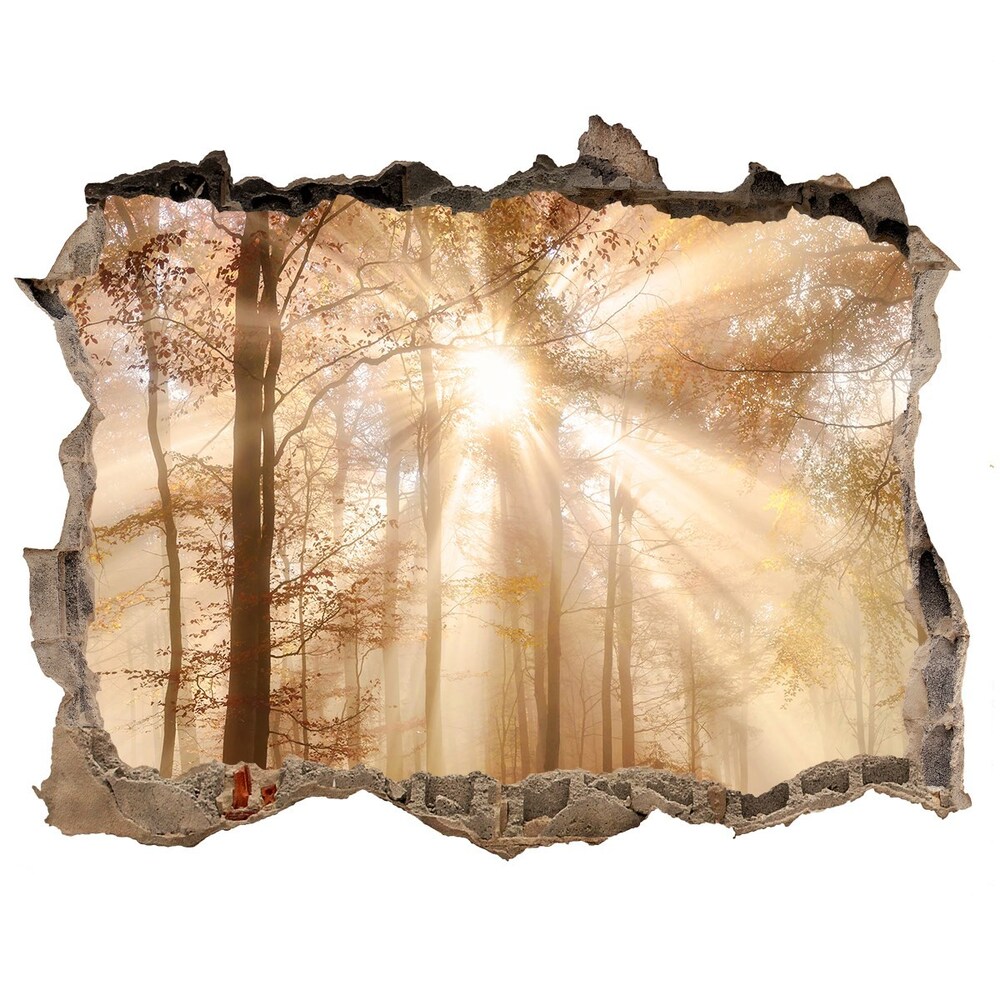 Hole wall sticker Fog in the Forest Autumn