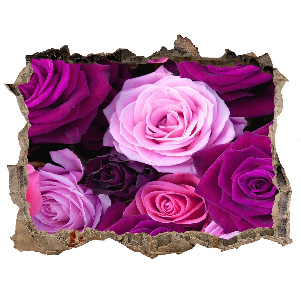 Hole in the wall decal Roses