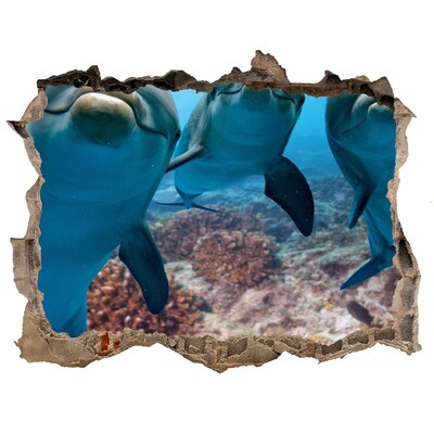 Hole in the wall decal Dolphins in a coral reef