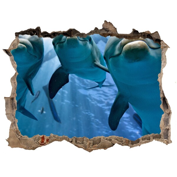 Hole in the wall decal Underwater world with dolphins