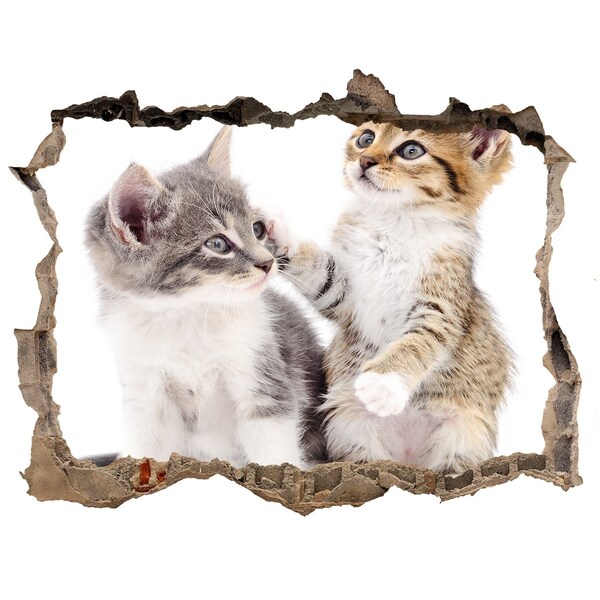 3D wall hole wallpaper Two little cats