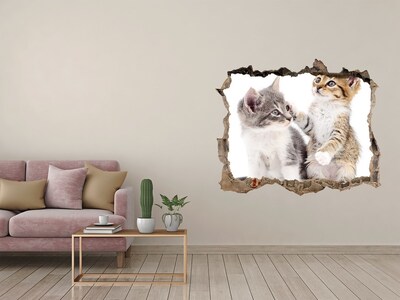 3D wall hole wallpaper Two little cats