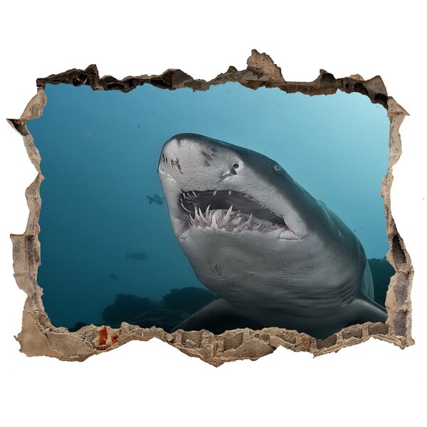 Hole wall sticker Shark in the underwater world