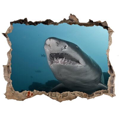 Hole wall sticker Shark in the underwater world