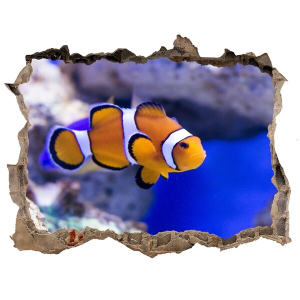 Hole wall sticker Coral reef with clownfish