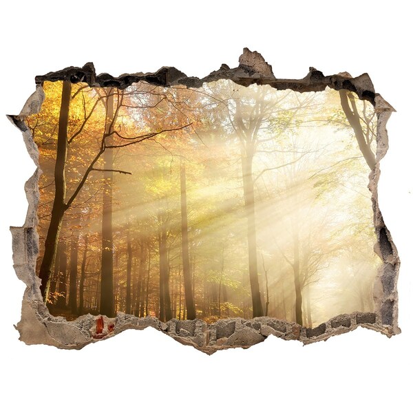 Hole wall sticker Golden forest in the sun's rays