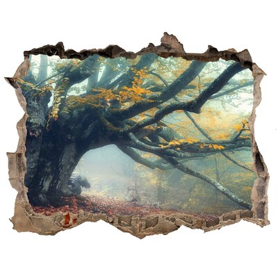 Hole in the wall sticker The enchanted forest in its autumnal robe