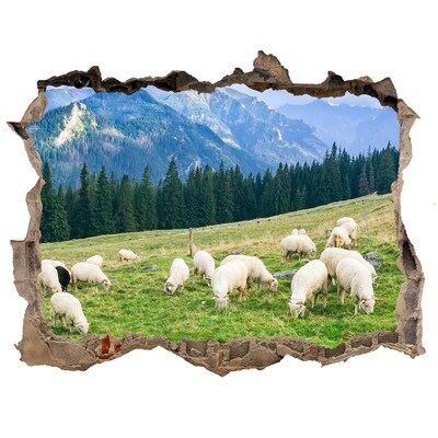 Hole in the wall decal Mountain landscape with sheep